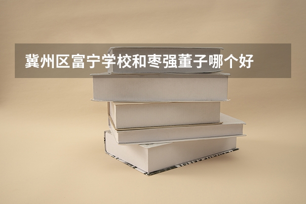 冀州区富宁学校和枣强董子哪个好