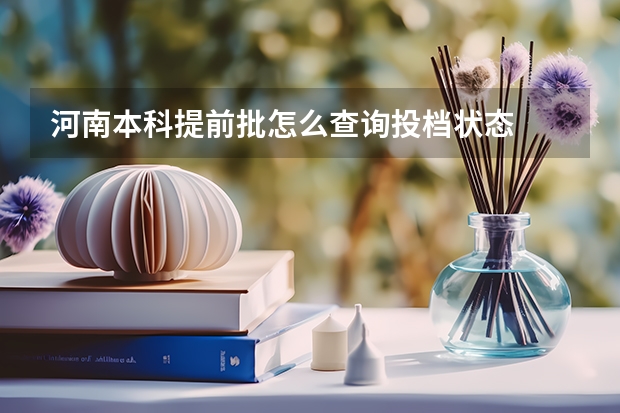 河南本科提前批怎么查询投档状态