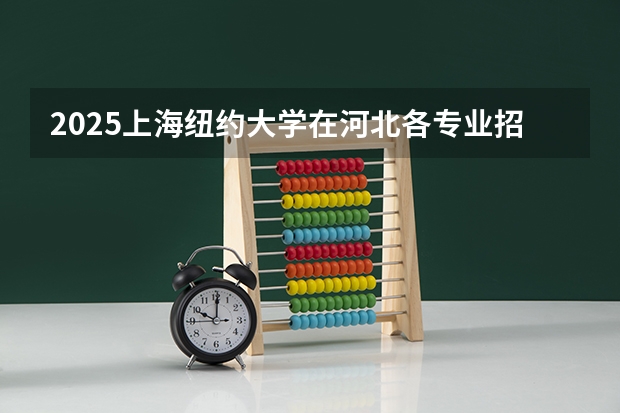 2025上海纽约大学在河北各专业招生多少人