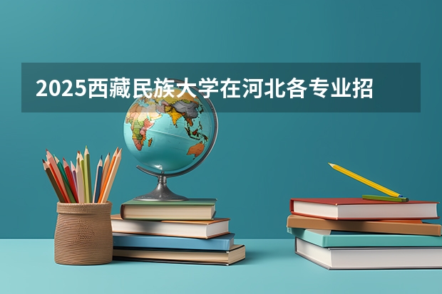 2025西藏民族大学在河北各专业招生多少人