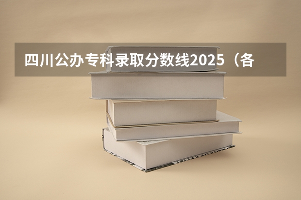 四川公办专科录取分数线2025（各高校在四川录取排名 2025）