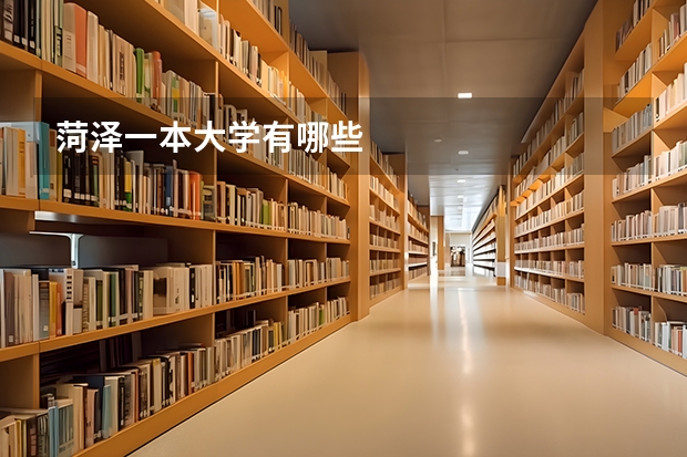菏泽一本大学有哪些