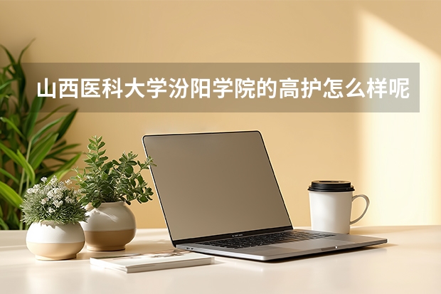 山西医科大学汾阳学院的高护怎么样呢