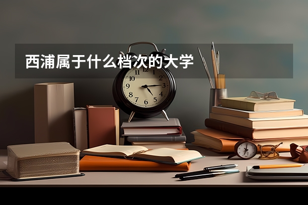 西浦属于什么档次的大学