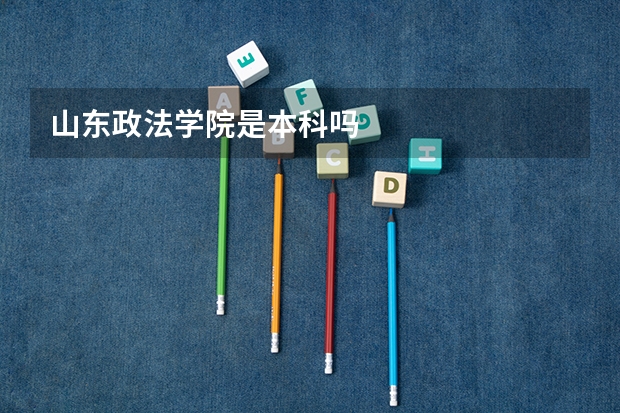 山东政法学院是本科吗