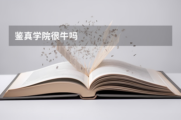 鉴真学院很牛吗
