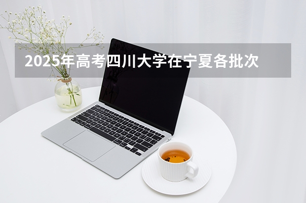 2025年高考四川大学在宁夏各批次选科要求