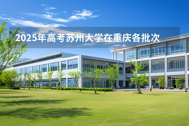 2025年高考苏州大学在重庆各批次选科要求