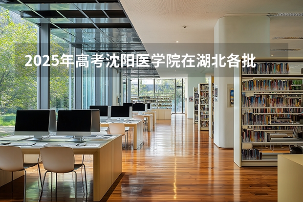 2025年高考沈阳医学院在湖北各批次选科要求