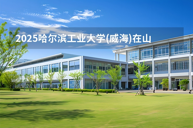2025哈尔滨工业大学(威海)在山西招生专业有哪些 ？（2026参考）