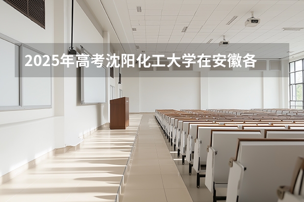 2025年高考沈阳化工大学在安徽各批次选科要求