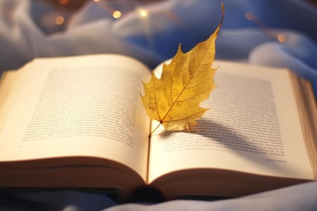 2025河北外国语学院在吉林招生专业有哪些 ？（2026参考）