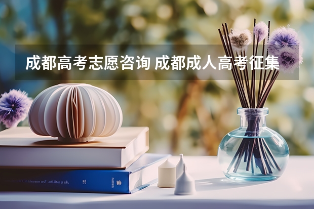 成都高考志愿咨询 成都成人高考征集志愿怎么报？