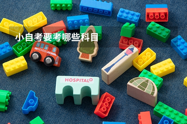 小自考要考哪些科目