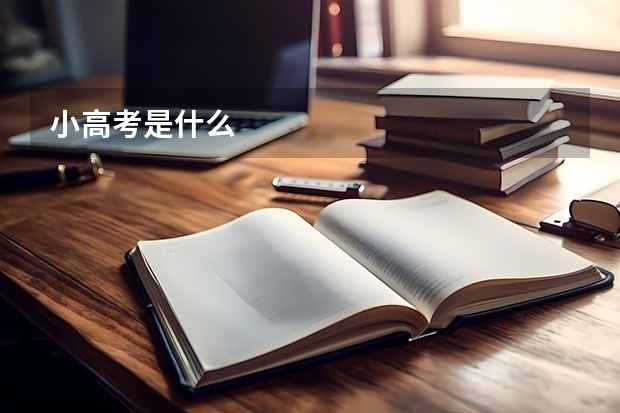 小高考是什么