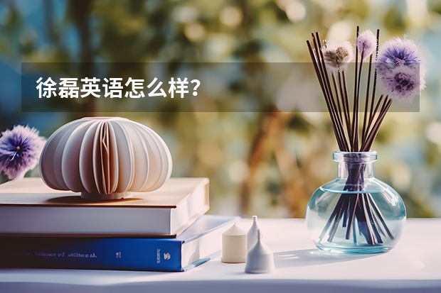 徐磊英语怎么样？