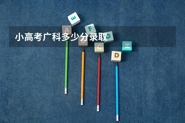 小高考广科多少分录取