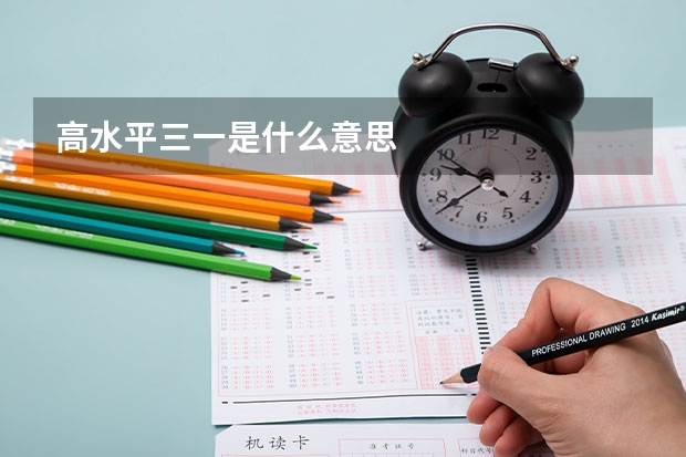 高水平三一是什么意思