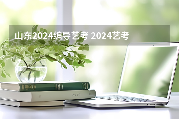 山东2024编导艺考 2024艺考改革新政策分数线