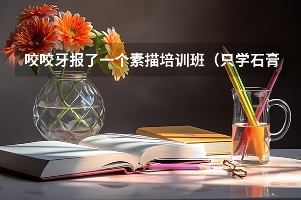 咬咬牙报了一个素描培训班（只学石膏几何），学完后能在家自学吗？内容较长，分高，有耐心的朋友帮帮我呀