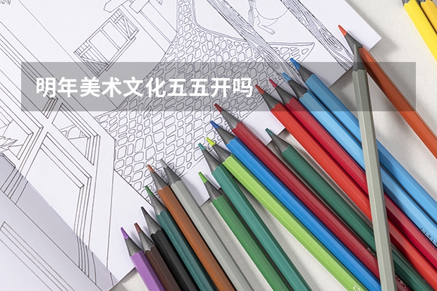 明年美术文化五五开吗