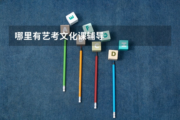 哪里有艺考文化课辅导