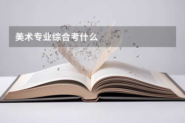 美术专业综合考什么