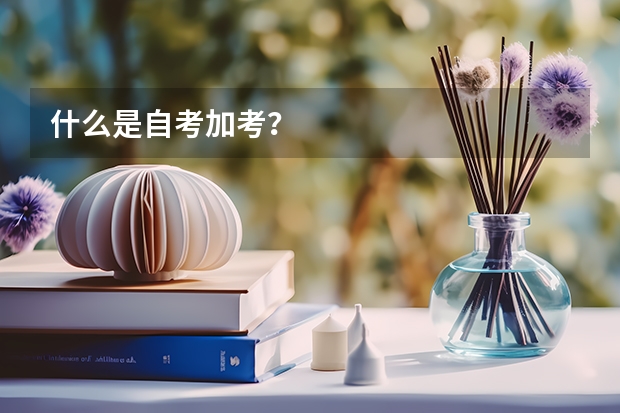 什么是自考加考？