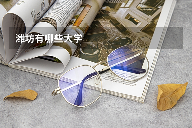 潍坊有哪些大学