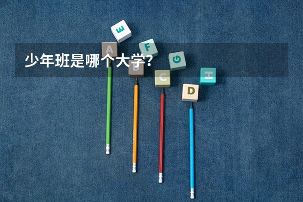 少年班是哪个大学？