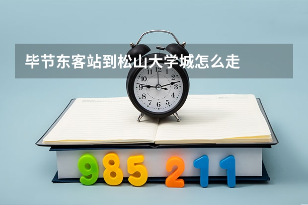 毕节东客站到松山大学城怎么走