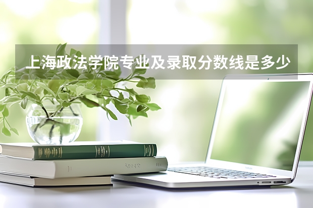 上海政法学院专业及录取分数线是多少
