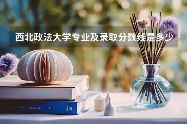 西北政法大学专业及录取分数线是多少