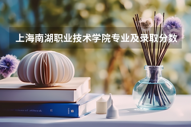 上海南湖职业技术学院专业及录取分数线是多少