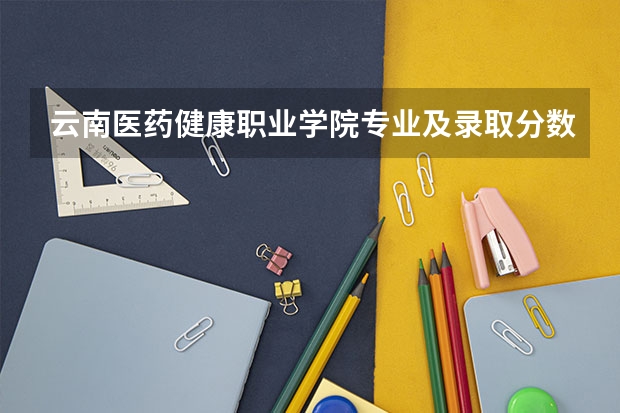 云南医药健康职业学院专业及录取分数线是多少