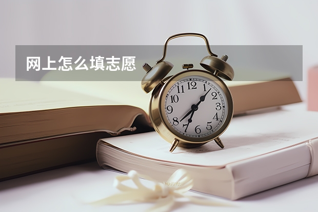 网上怎么填志愿