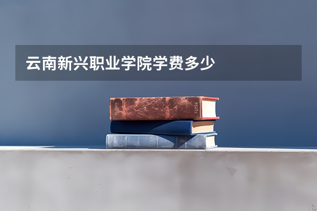 云南新兴职业学院学费多少