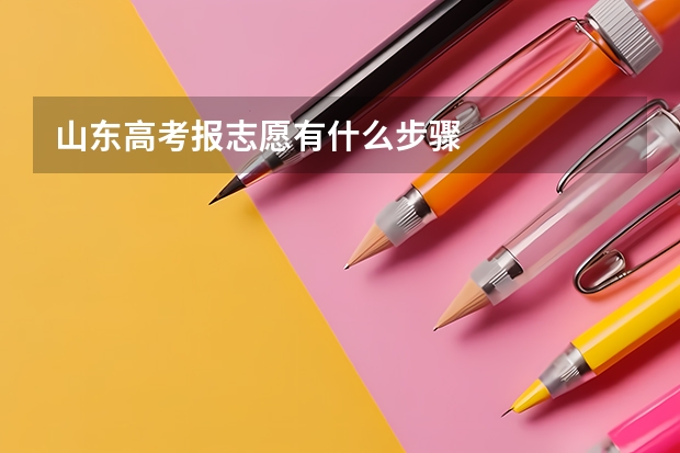 山东高考报志愿有什么步骤