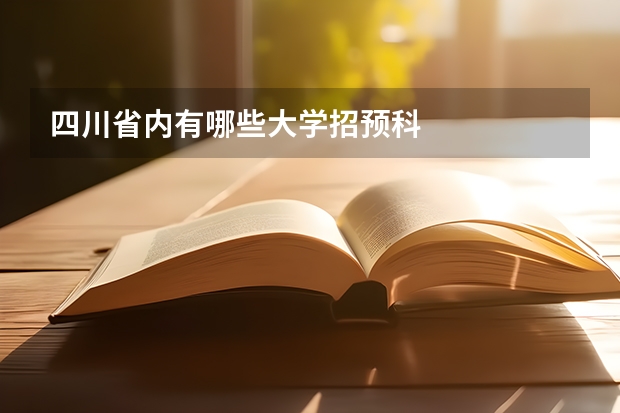 四川省内有哪些大学招预科