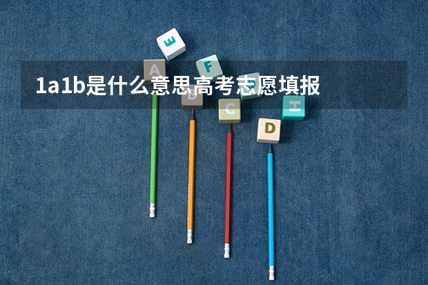1a1b是什么意思高考志愿填报