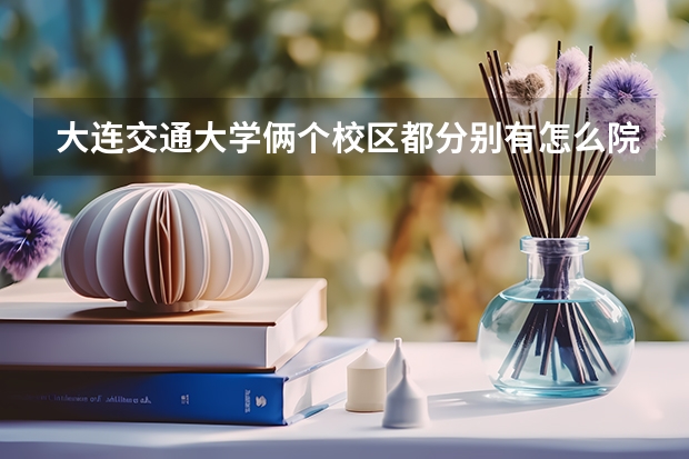 大连交通大学俩个校区都分别有怎么院有什么专业，艺术的在那个院那个校区