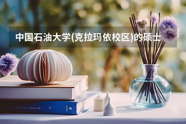 中国石油大学(克拉玛依校区)的硕士点是什么专业