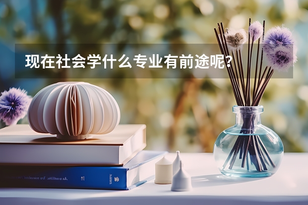 现在社会学什么专业有前途呢？