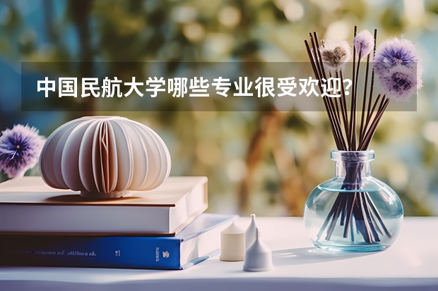 中国民航大学哪些专业很受欢迎？