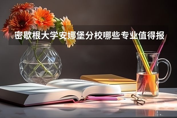 密歇根大学安娜堡分校哪些专业值得报？
