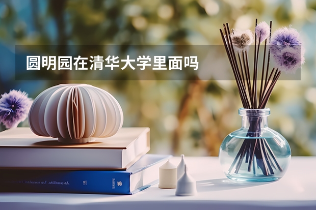 圆明园在清华大学里面吗
