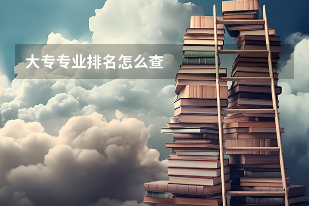大专专业排名怎么查