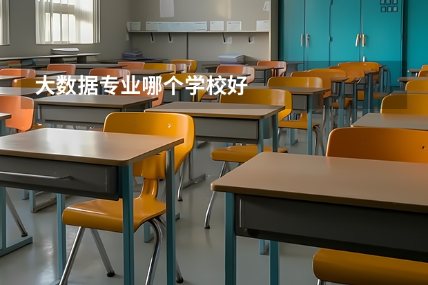 大数据专业哪个学校好