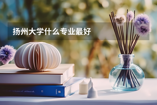 扬州大学什么专业最好