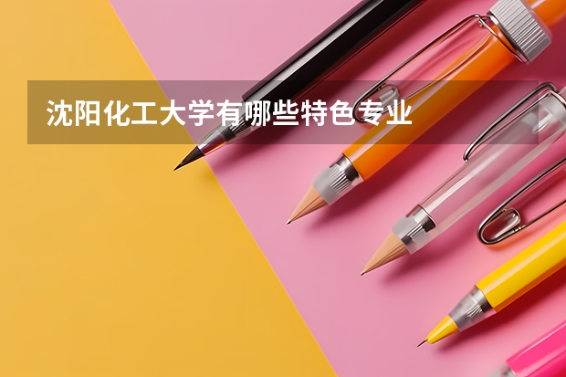 沈阳化工大学有哪些特色专业